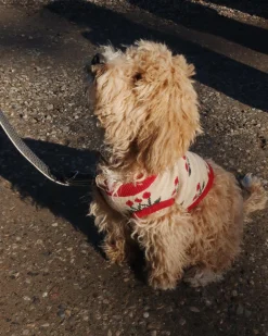 Konges Sløjd Strikket Hundesweater -